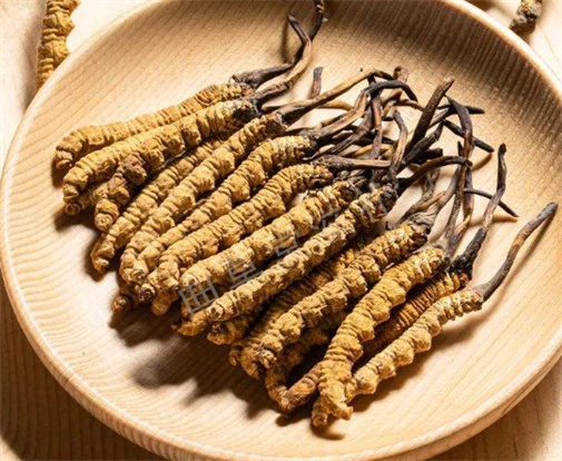 海珠虫草回收价格越来越贵