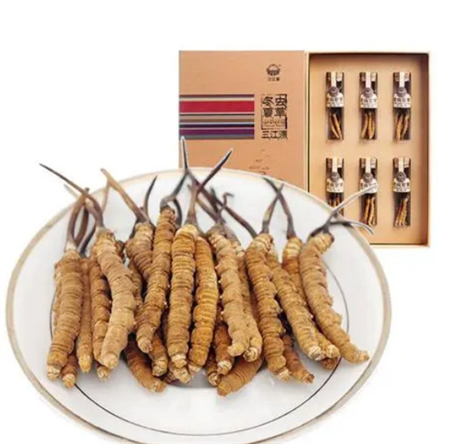 为什么花都虫草回收价格有的很低