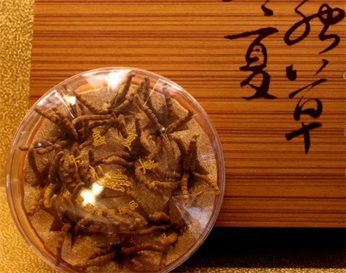 广州虫草回收的四大好处