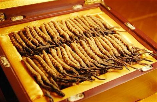 黄埔虫草回收散装的多少钱