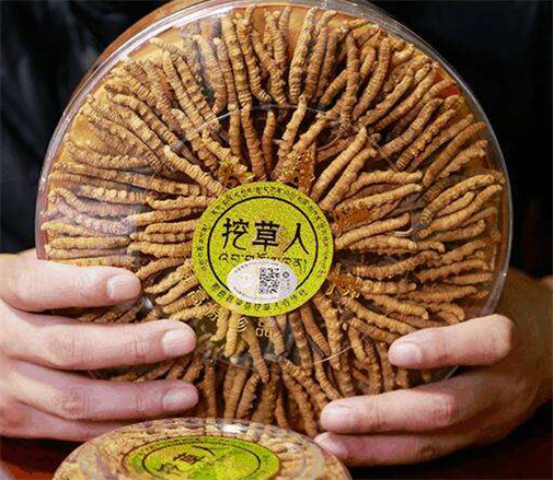 天河断条虫草回收商家电话
