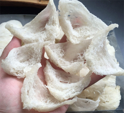 详细介绍燕窝的传奇神话