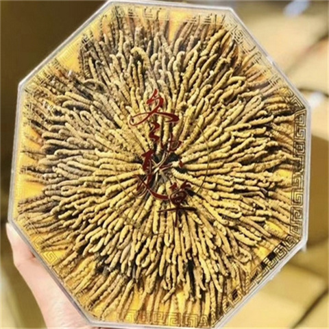  冬虫夏草家庭的食用方法