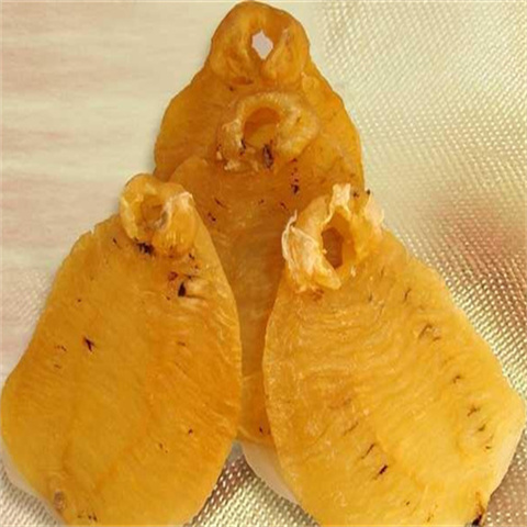 鱼胶的介绍和回收价格