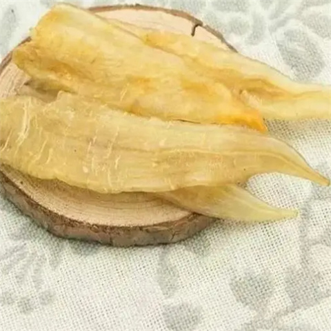 番禺回收鱼胶 花胶鱼胶的区别