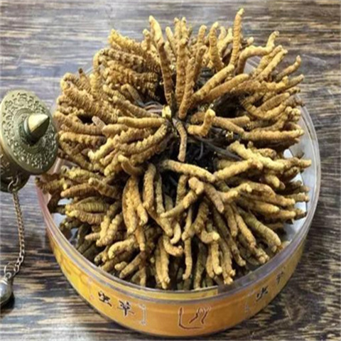 花都回收冬虫夏草 3000条虫草回收价格多少钱