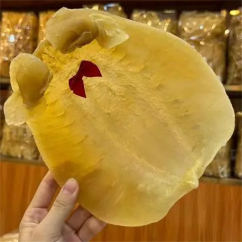 番禺回收鱼胶 花胶鱼胶的区别