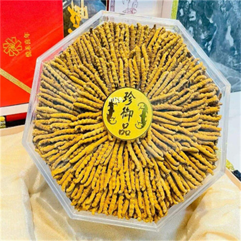 海珠回收冬虫夏草什么是冬虫夏草